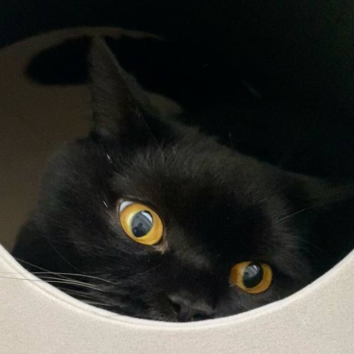 902a13c3 447d 4e62 9b00 7b1e17412007 1760782441833