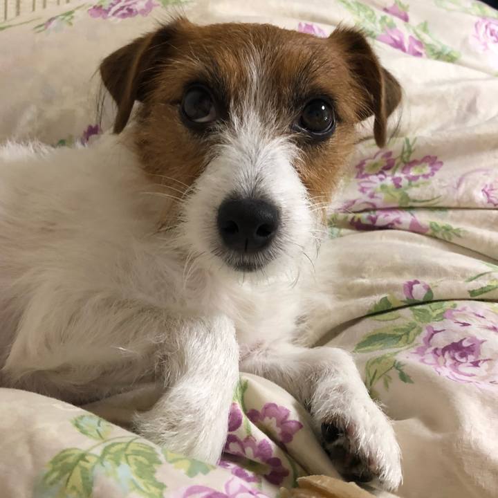 902a42f3 dfad 4829 ac00 3e3a64be37f4 1541686311848