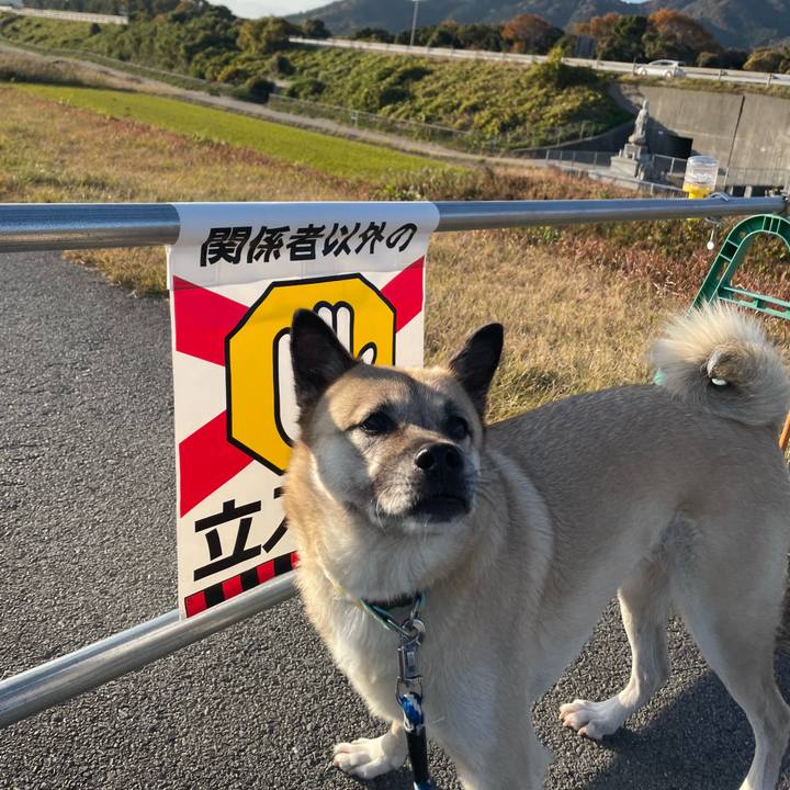 902a7ea7 dee5 430a b221 629ff16e5873 1670671477997