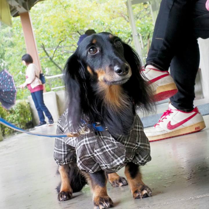 902add27 59ef 4490 ad95 c44eb3ec8c8a 1538210181343