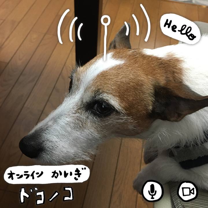 902af089 cd03 43ad 91c2 a5887825f5b5 1590711248025