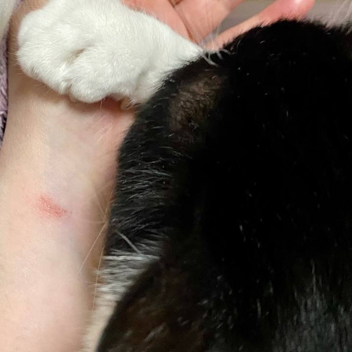 902b0ba0 a0ff 41fc 9c34 35c3bc213ac7 1734010558606