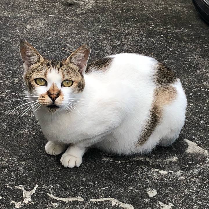 902b1428 bfe5 4b0a b15e 244bb7471188 1539321700961