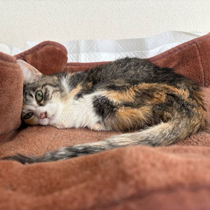 902b599b 5211 4269 9080 f922998aae02 1763434358992