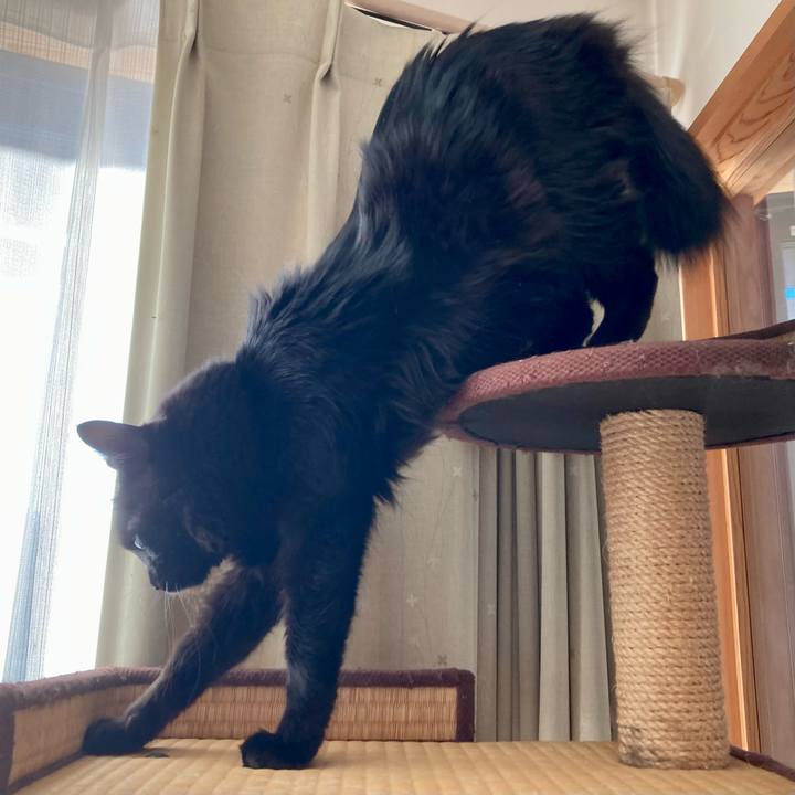 902b86ea 2408 43b5 89f6 83a65b28716b 1736064986859