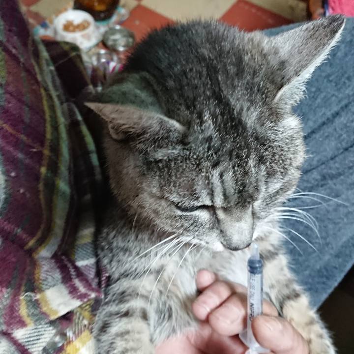 902baf49 a34f 404c a6d8 c66c7456a2c8 1581806574722