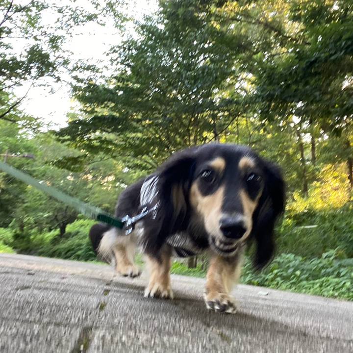 902bb658 06b6 4a83 ab37 03aee72b6a17 1753238510171