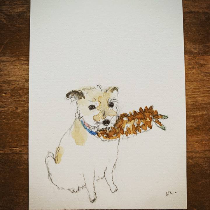 902bd150 c954 4793 9669 60c407f03aca 1607408841855