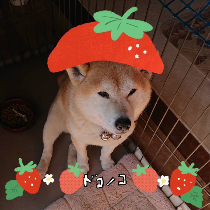 902be822 6b63 4f05 89ef 00c7d8a23d29 1775727801313