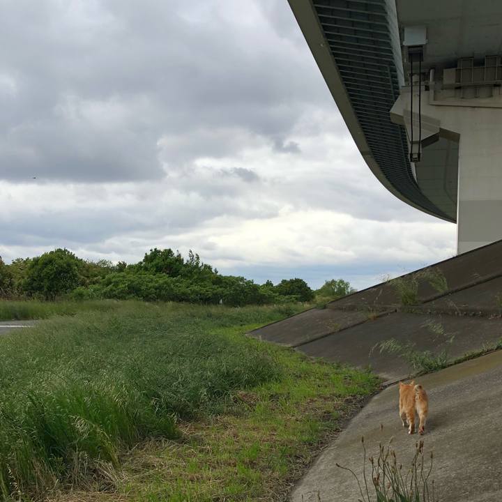 902bf8be bd35 45f2 8e01 5a1dc251a832 1525952834940