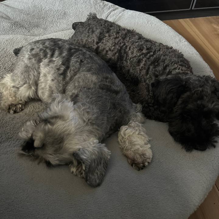 902c08c6 e2a3 4b12 b0d1 b16a9613e1ec 1710290024840