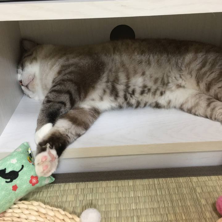 902c0b72 0cb8 44d7 b7eb d0cdb06521c0 1536197831128