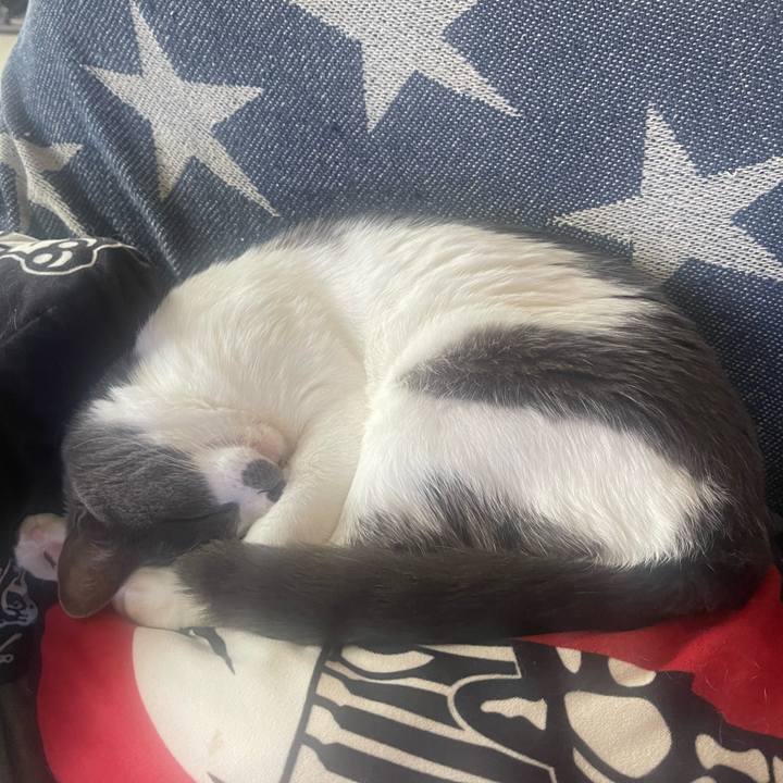 902c2465 361a 4627 9187 20bf1ded4046 1651652911454