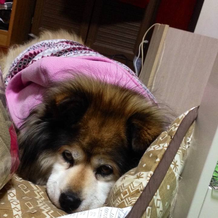 902c2949 96ec 4ee2 86af 3465996c94c4 1548401611528