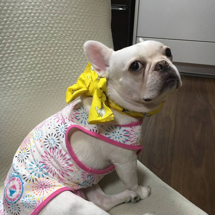 902c5439 8643 4d8a b39b 6a45e727cd25 1532185959525