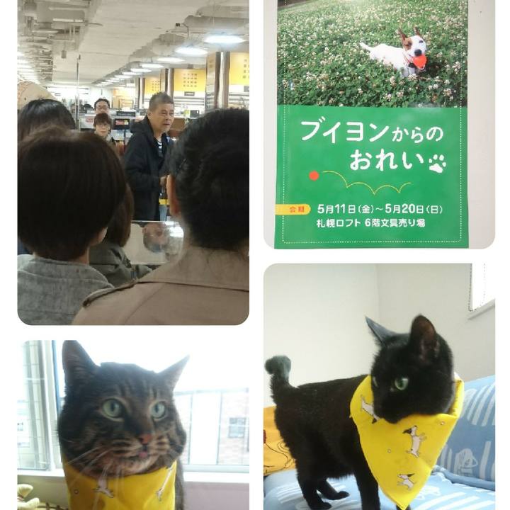 902c6652 cfd4 4c0a a0be b13464aff697 1526288051668