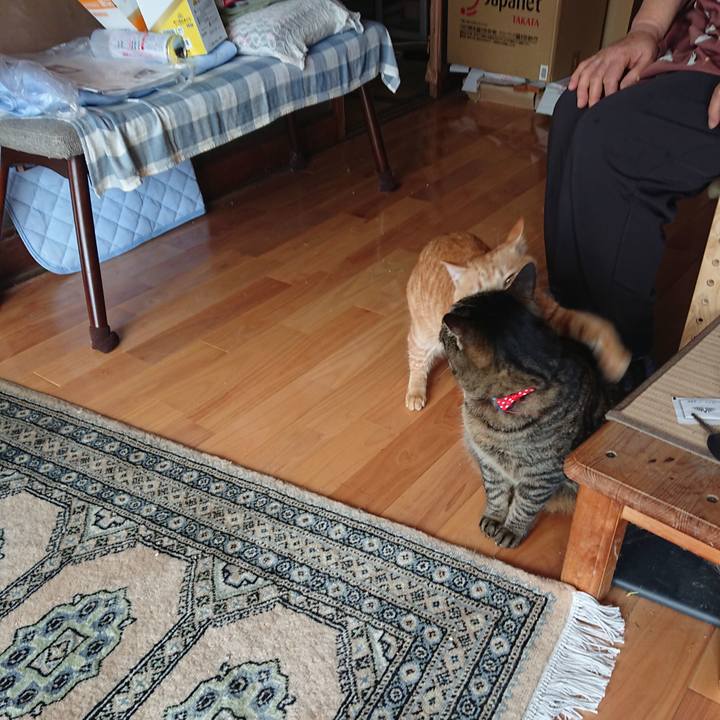 902cf639 8f6c 49f1 bd3b f09dfffe4664 1642996030990