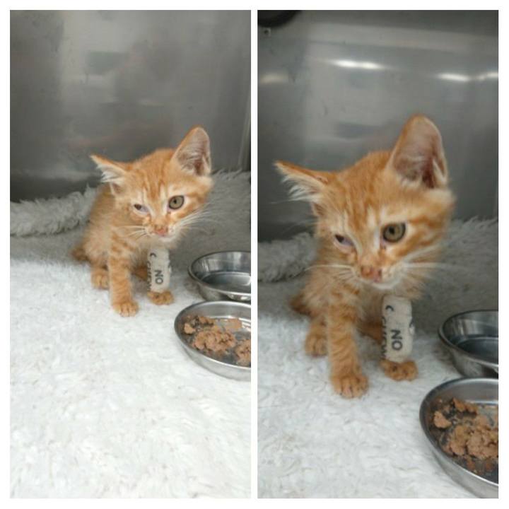 902cf82d e47c 4a1b a079 4d7278f3df91 1627639439238