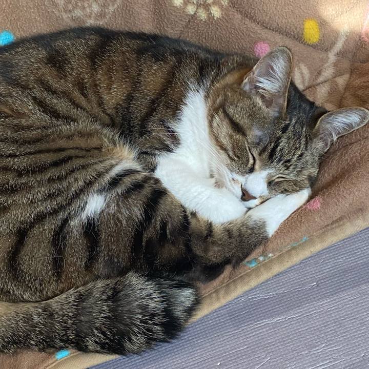 902d097f 758b 4078 89a2 852b22437272 1644988801666