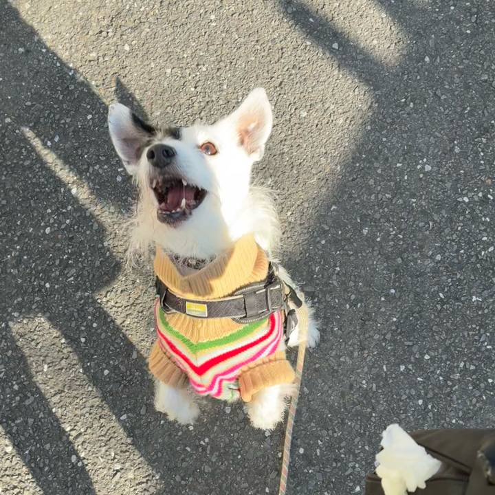 902d3030 b9e8 4ef4 9f24 126b6b794854 1764201879173