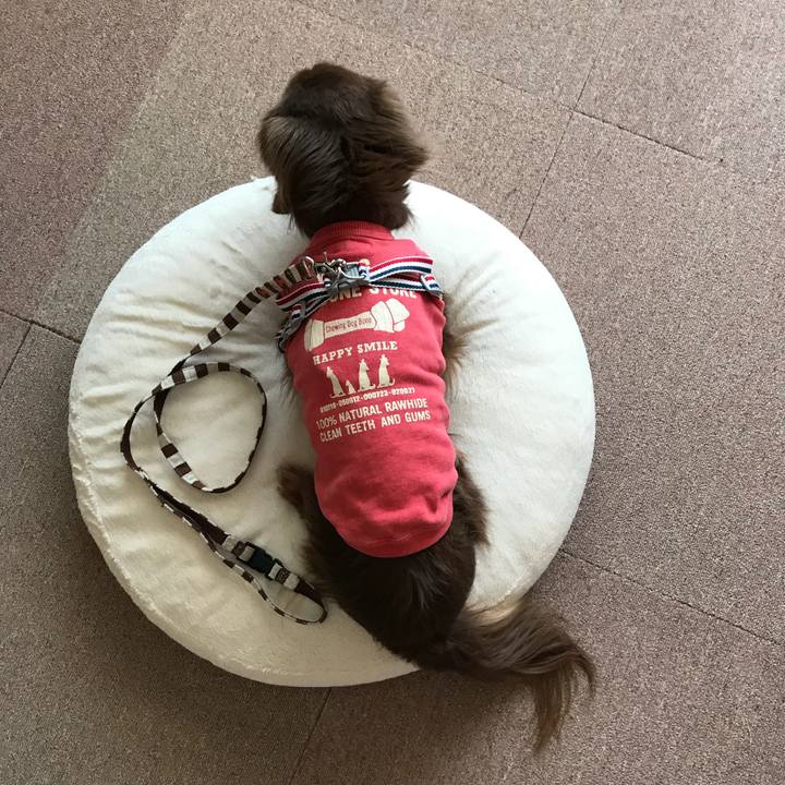 902d49a7 85e6 46fc bece d65a9b643e10 1523171454600