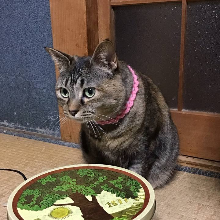 902d6657 c58f 4df1 acc4 aa088fab560b 1742817143035