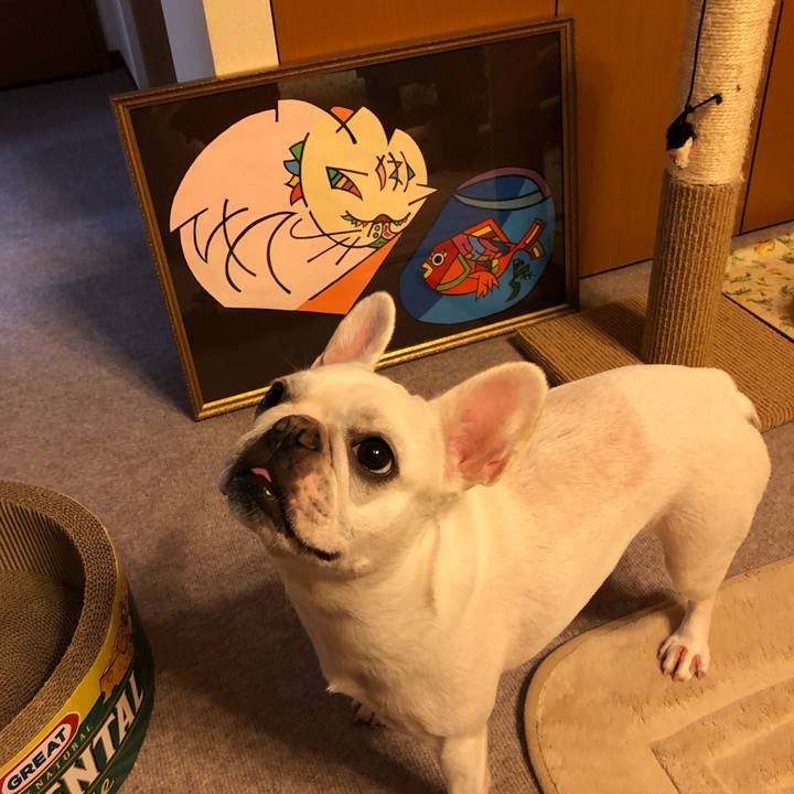 902de114 cbcf 41b7 812b f68416297cd6 1568295727111