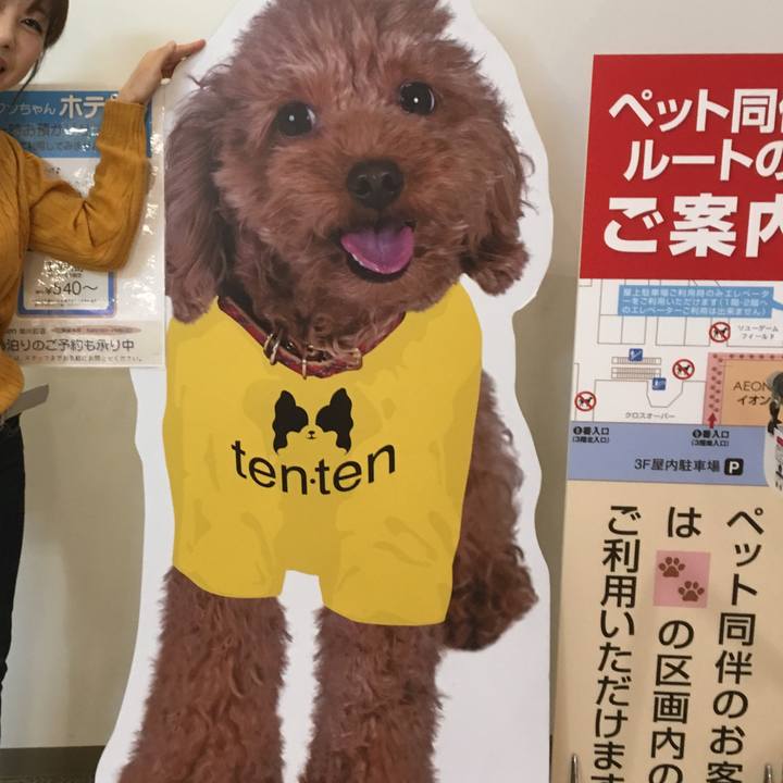 902df7c3 97f0 457b 86db c4b28ce471aa 1538894834678