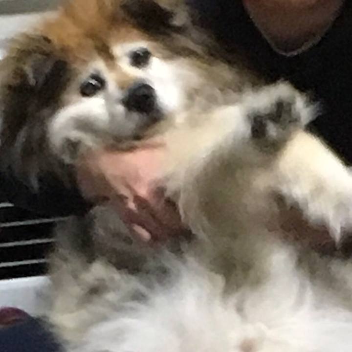 902e1029 03a6 4328 b4be b08909345bdb 1585908183358