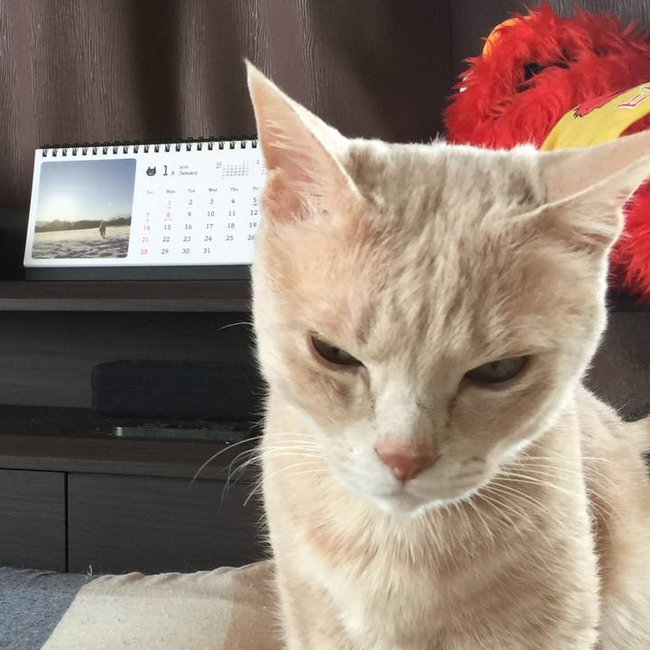 902e21d0 6553 4ed5 8b3a 45892d1ee2c2 1522323586470