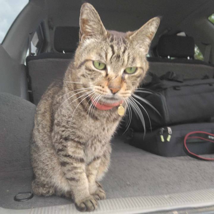 902e3c3c 5e99 4f24 b3a8 5c2932d8f659 1716769969021