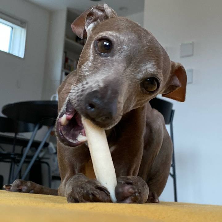 902e45ff 024e 4480 8fb6 b3b0077a77d5 1772503068460