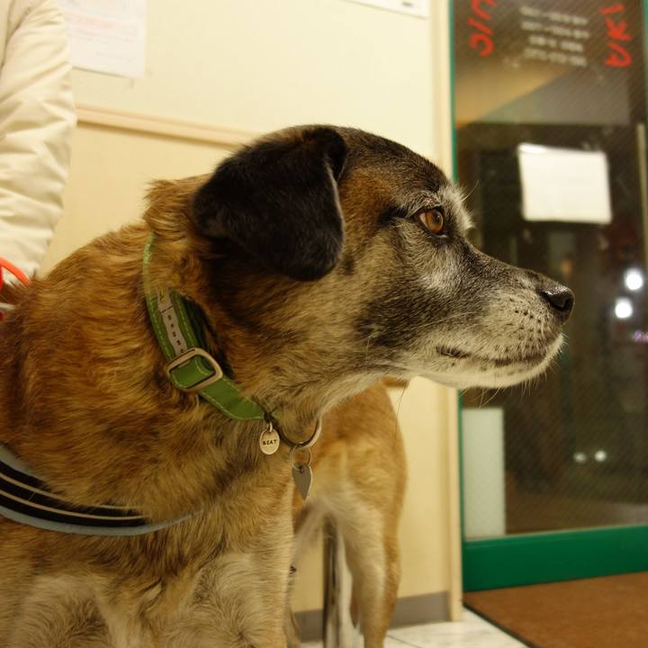 902e5d5b 7423 4ba3 8b1b a7fe435b2c4b 1623198997746