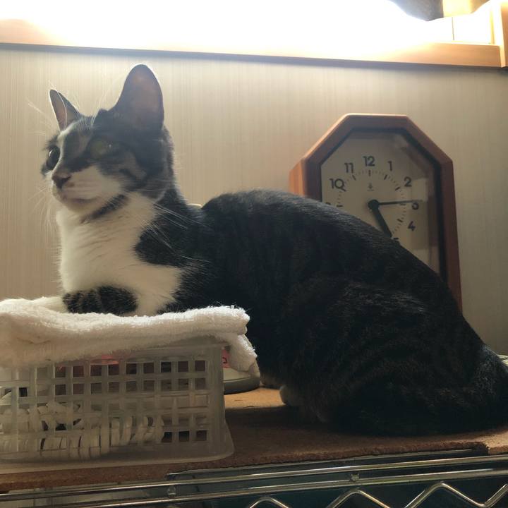 902ea620 438d 4f50 9db1 2bd03e03d639 1623099488542