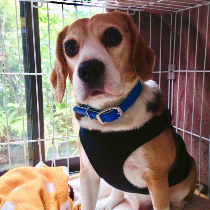 902ec65a 1369 4c64 94d0 fac9273479aa 1749689828937