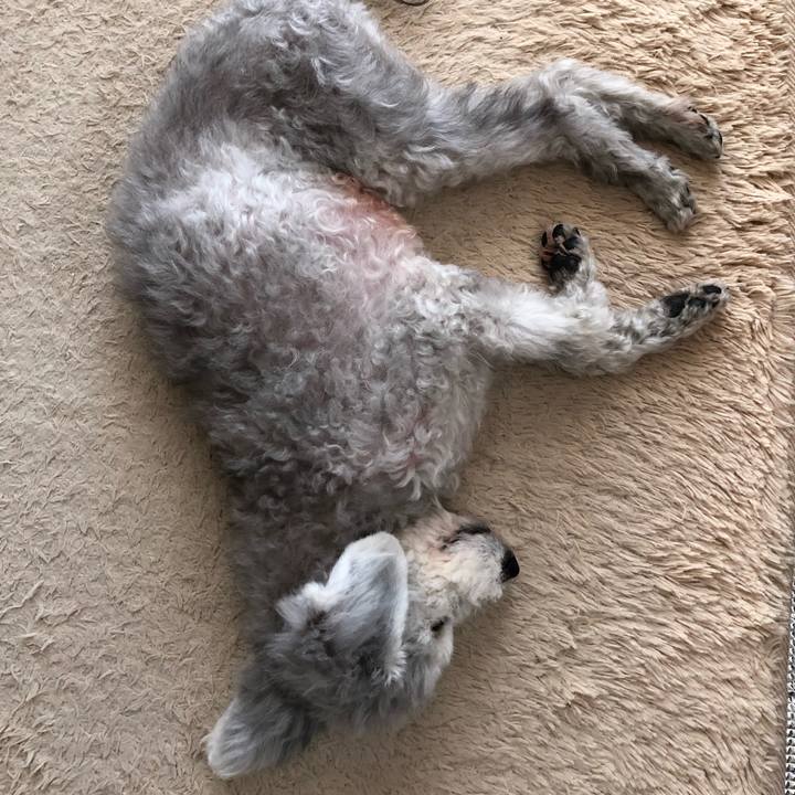 902ecc1a 8db3 4ea5 9dd4 f5a7d0431b95 1640485600753