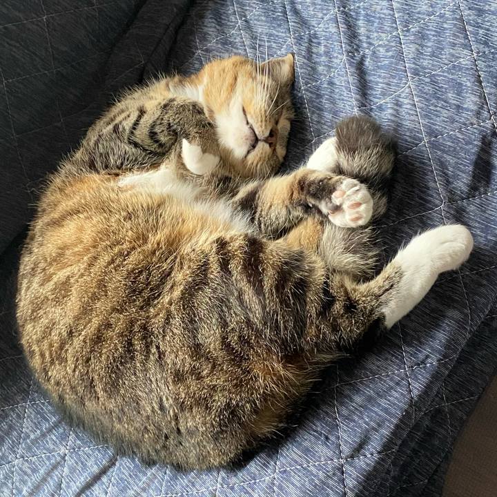 902ed0e5 e960 4d58 86a5 73fbfe405f04 1623081287189