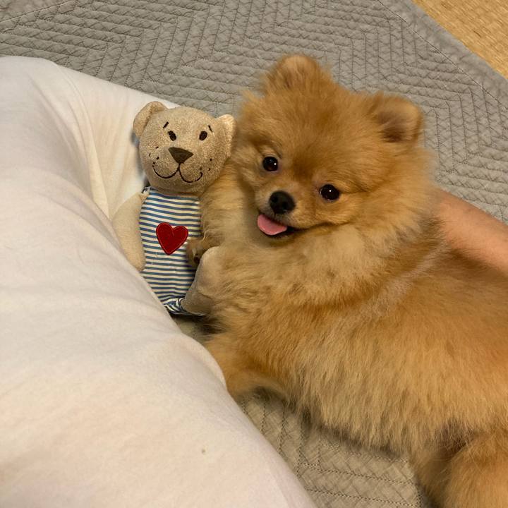 902efb70 16b6 4b59 a97b 44f7bf44b879 1658052916171