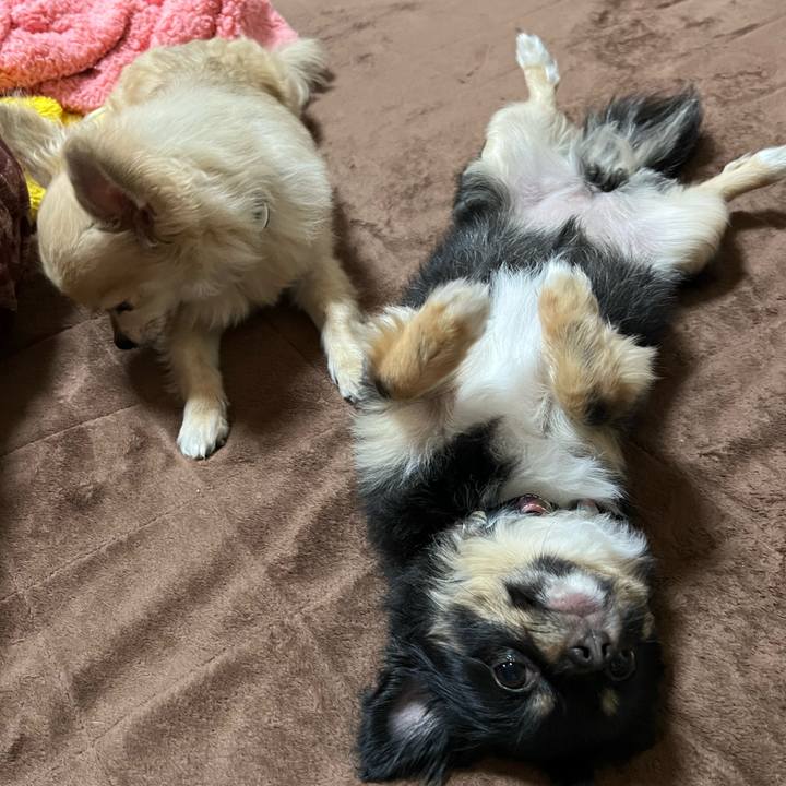 902f144d 40df 4515 8204 98c9ef550487 1652016295869