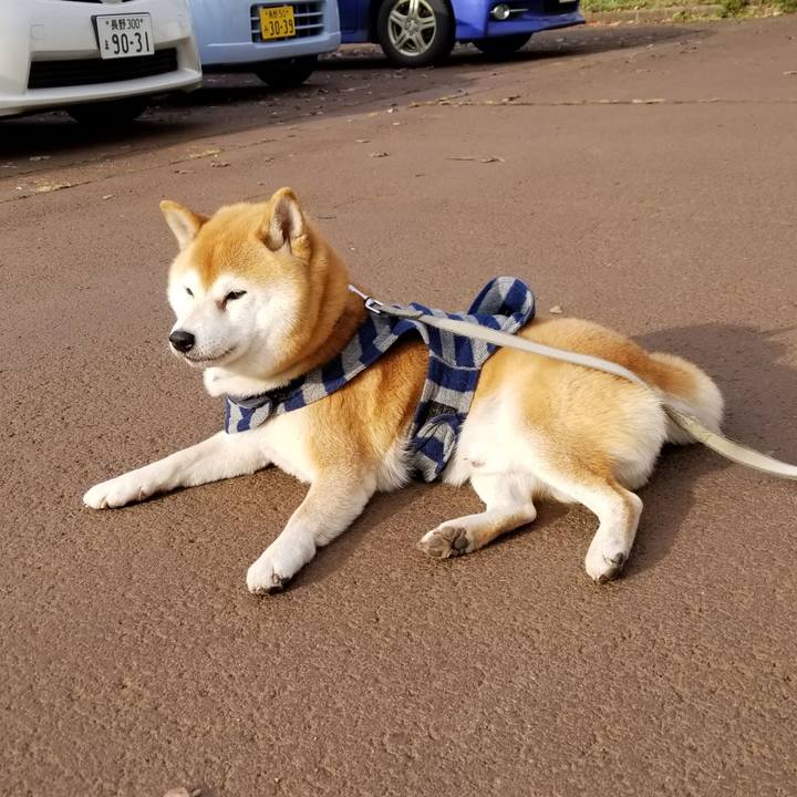 902f356d 6880 42bd b47a 15ada5963216 1576040780078