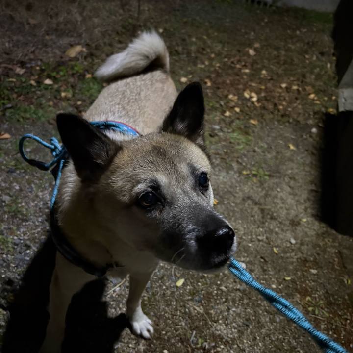 902f745a 00e7 4f0f 87d5 9ee8a7105302 1765888537538