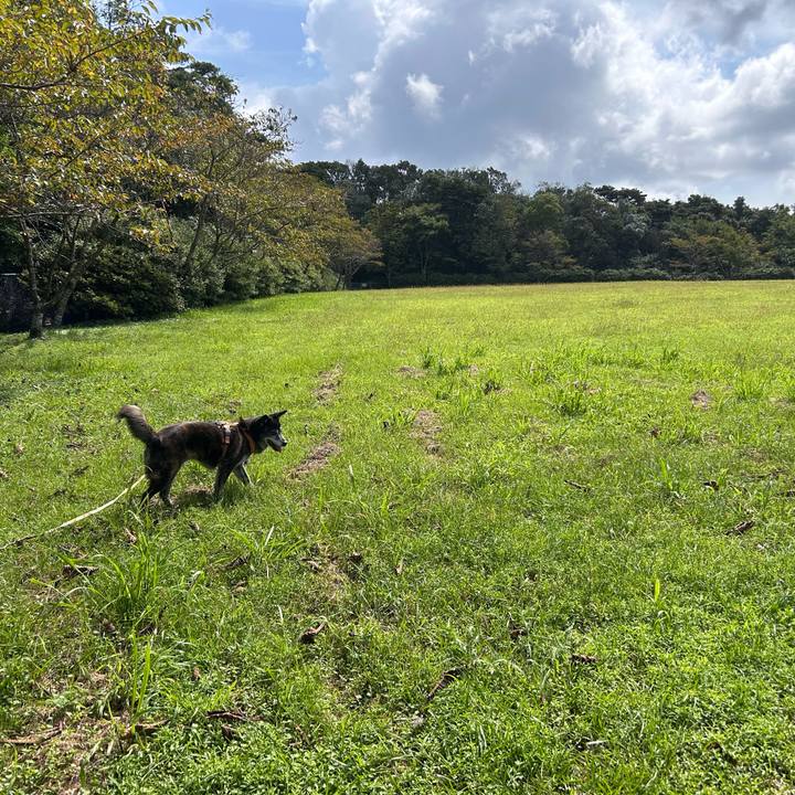 902fc62c 7d43 4589 870d 8b457bd463ad 1760968559355