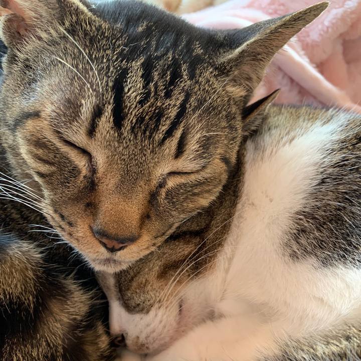 902fda16 d8ce 4182 abd3 c20e6b919ecb 1581211077647