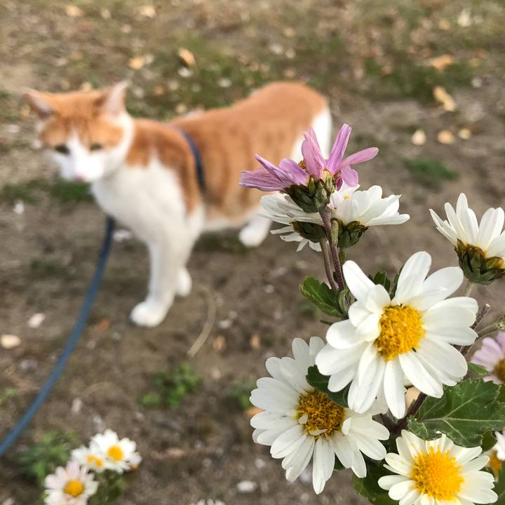 902fdace b719 40b6 bf71 f830cc54dfb3 1511333017634