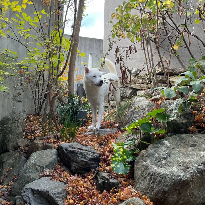 902fe2a9 f13b 4cce acb6 d510cb2e40d6 1734406533912