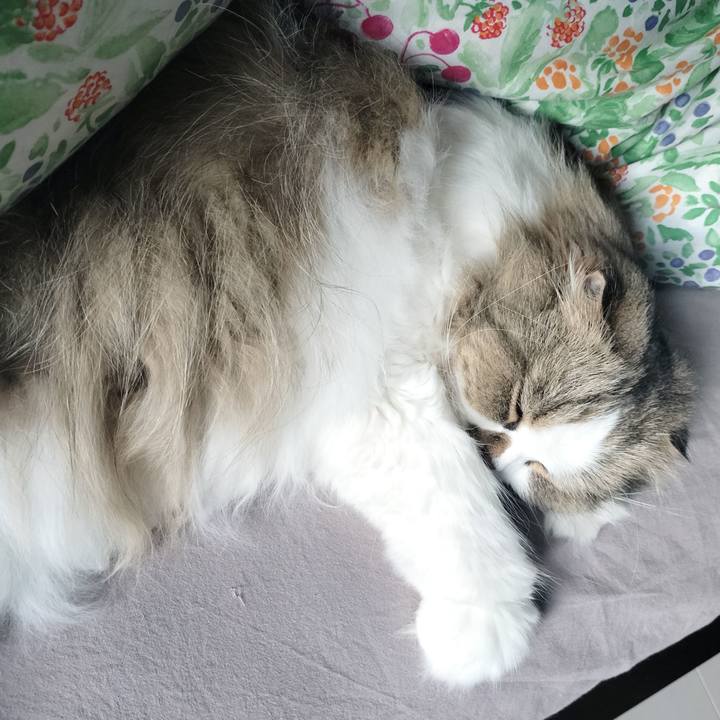 903090f2 05bf 4206 913c 3132c7eac025 1775013489164