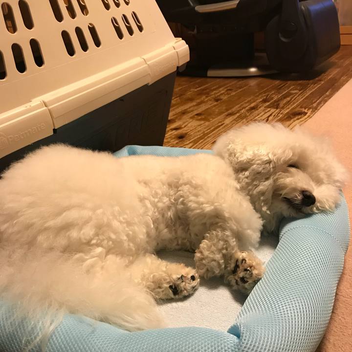 9030dfc5 7857 4c09 a0fd a637f28de094 1528637595555