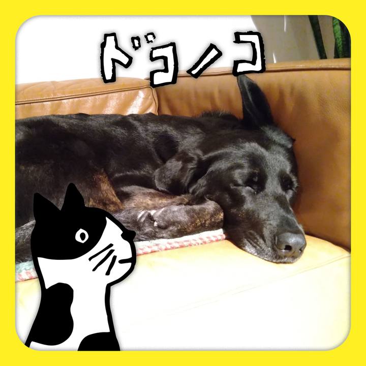 903139e6 c9ce 4ef6 a7ef 34577247ce0a 1622934489876