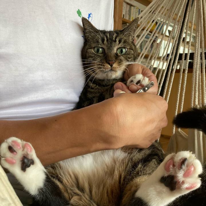 903159d0 34df 4514 b81e c884d5c5316c 1599955628482