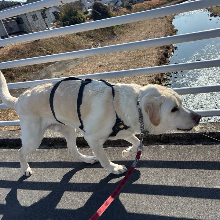 9031770e 14ce 4d9a be79 1332eeeb098d 1769753349557